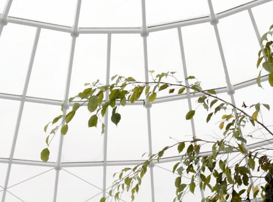 Looking up at the glass dome from the indoor pool at Árbæjarlaug