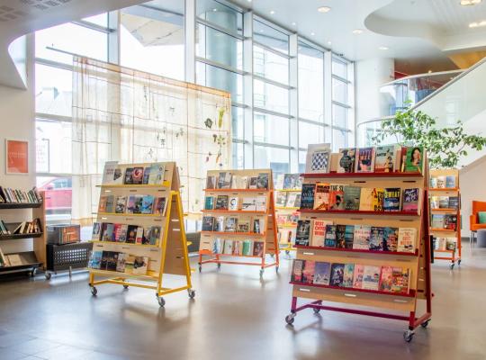 Bookshelves at the library