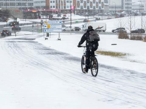 Snowfall