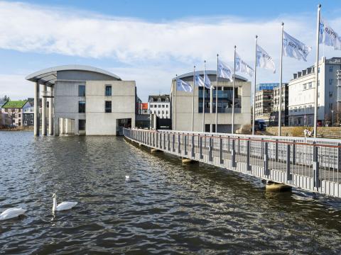 Ráðhúsið, séð frá byrjun brúarinnar. Tveir svanir í forgrunni til vinstri, hægra megin efst fánaborgin á brúnni með Reykjavíkurfánum.