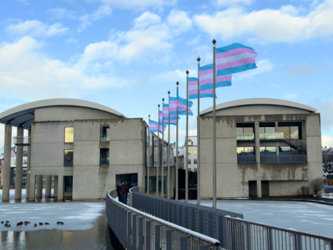 Transgender flags at City Hall on International Transgender Day of Visibility