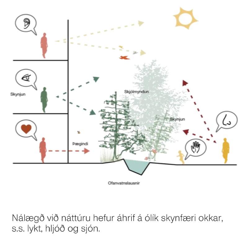 Hallar -nálægð við náttúru.
