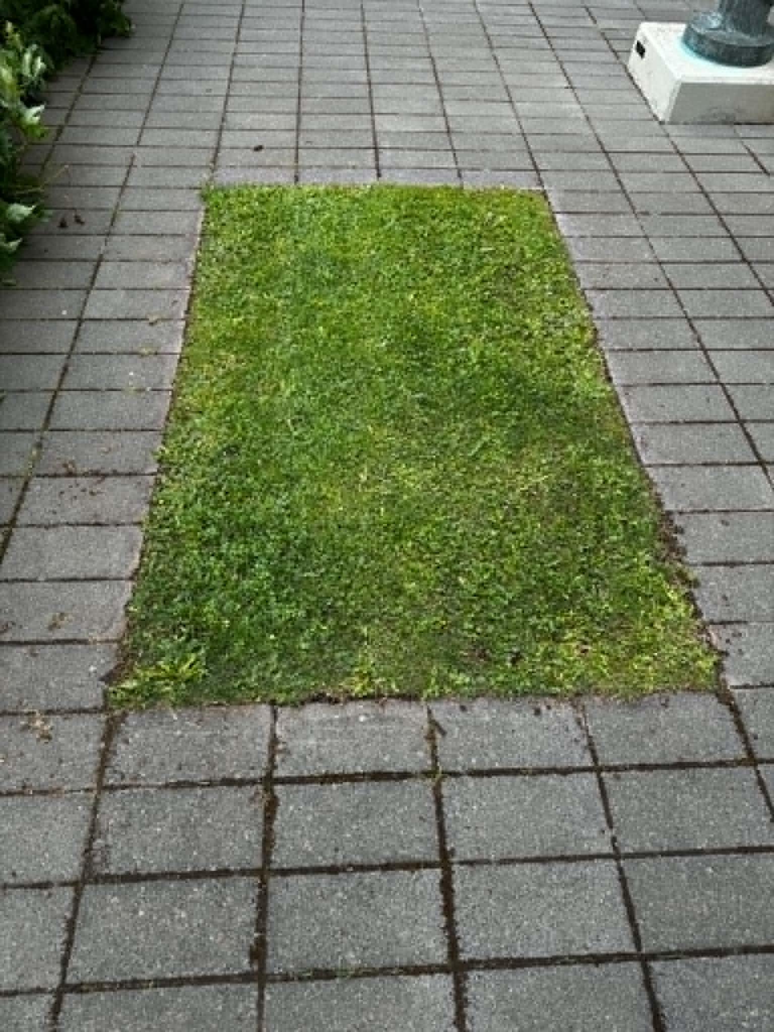 Vinnuskólinn