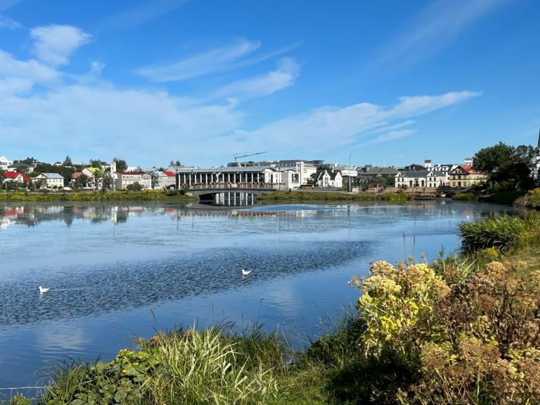 Tjörnin
