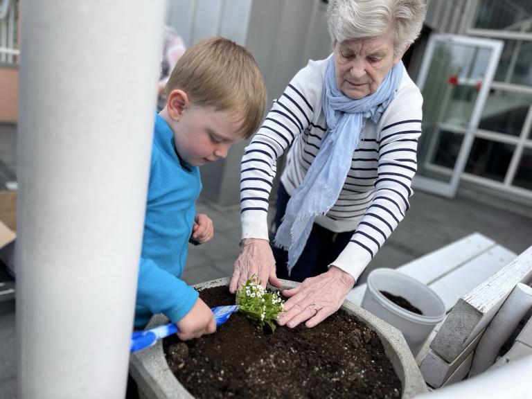 Eldri kona aðstoðar leikskólabarn við gróðursetningu.