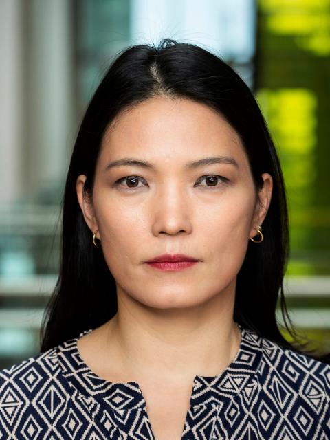 Milan Chang fjölmenningarráð