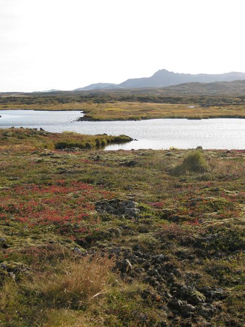 Heiðmörk