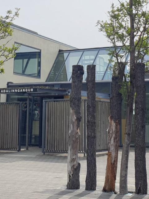 Kléberg City Library